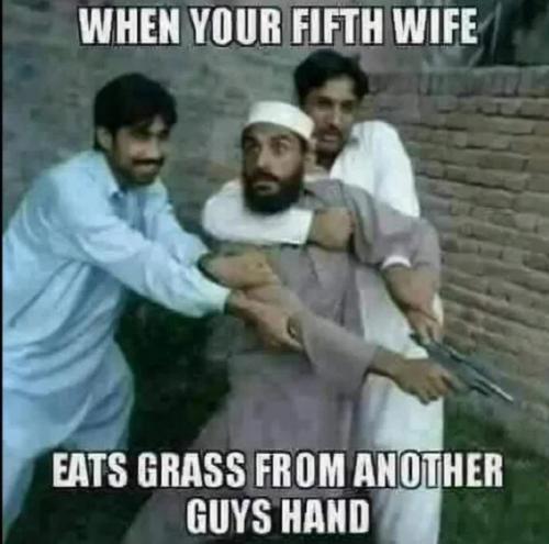 fifth-wife