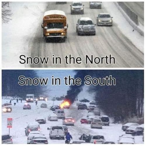 funny 596