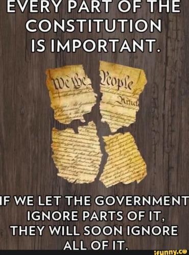 all-of-consitution-important