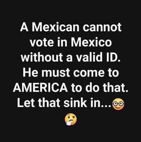 mexico vote