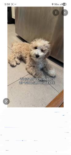 Screenshot_20260526_055846_Google