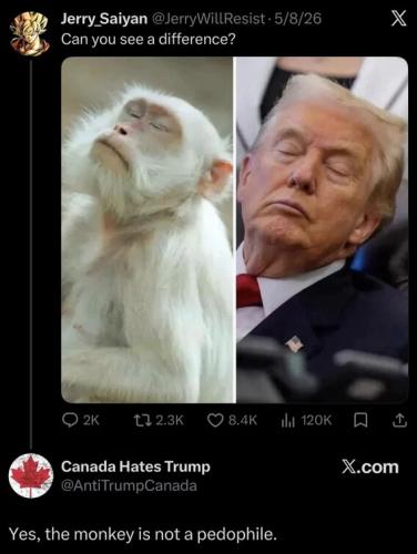 a55b9900d45169c54c32dfe630e61f39