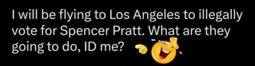 I'm going to fly to LA to vote illegally