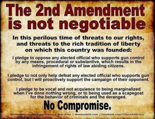 No_Compromise_2nd_Amendment_Gun