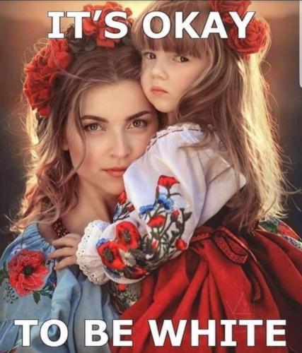 its_ok_to_be_white_meme