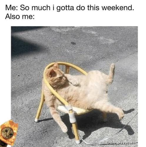 so-much-i-gotta-do