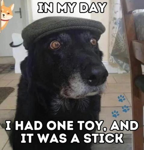 in-my-day