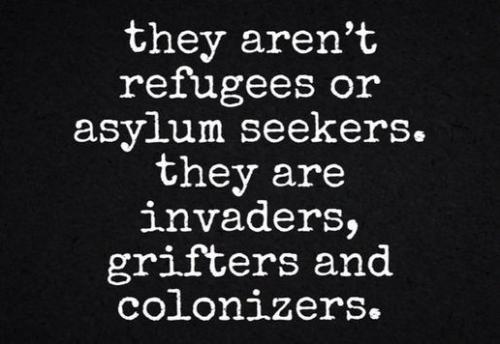 illegal immigration539