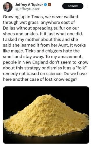 sulfur