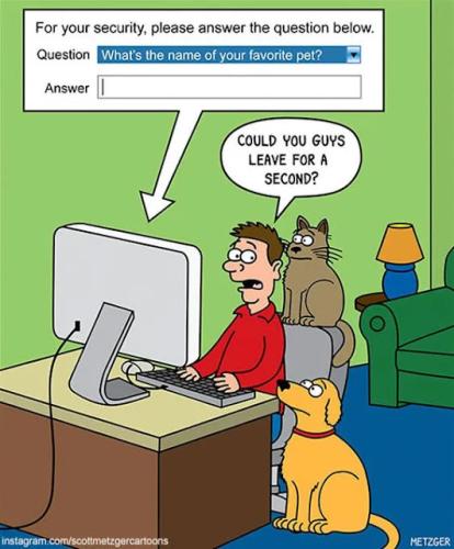 funny 587