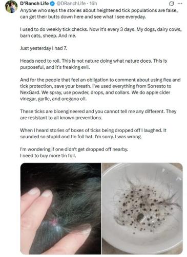 ticks
