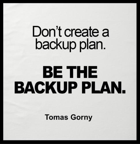 1B-Backup Plan