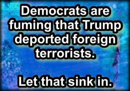 f2b8c4b7d5102fa4d66190c801ddbcdf_1024