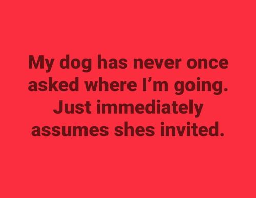 Screenshot_20260507_134713_Facebook