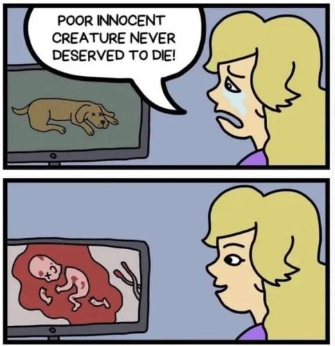 creature-never-deserved-to-die