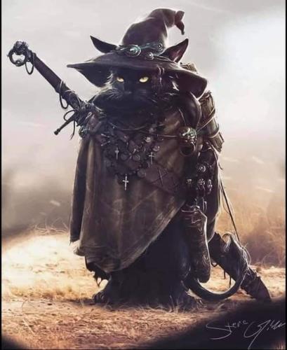 catwizard