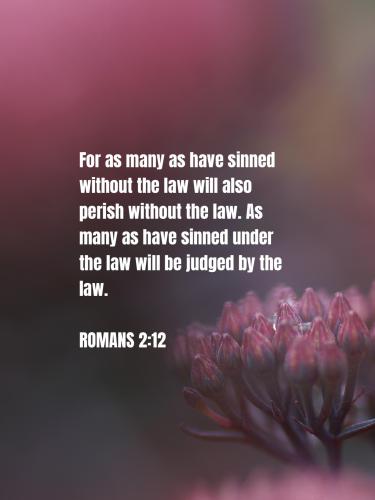 unnamed-11