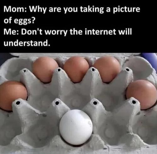 taking-picture-of-eggs