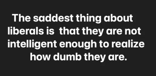 liberals-not-smart-enough-to-know-how-dumb