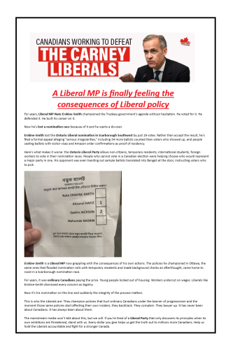 Liberal MP loses