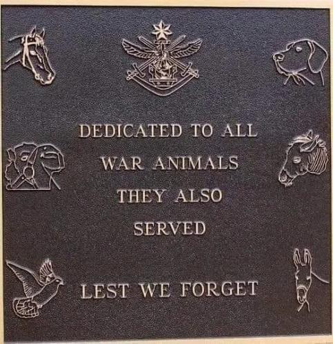 to-all-war-animals