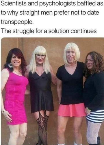 702652012_1017928557560134_8784945982626908242_n