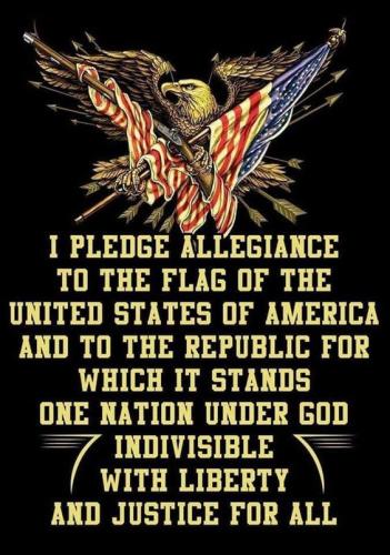 Pledge 40