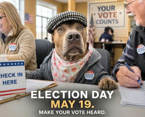 primary day in idaho