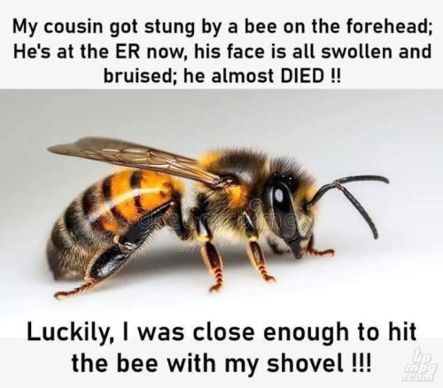 _684922792_10165737286112994_1489652374451590328_n