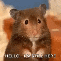 63