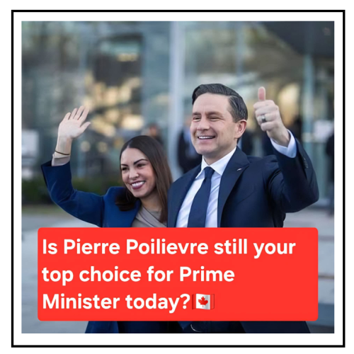 top choice