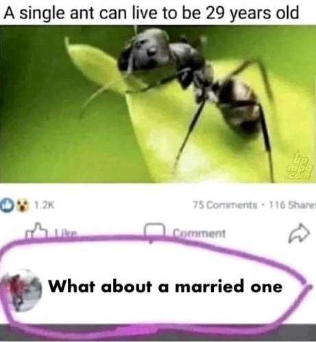 _1780055470123