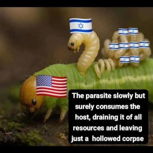 ISRAEL IS A FUCKING PARASITE!