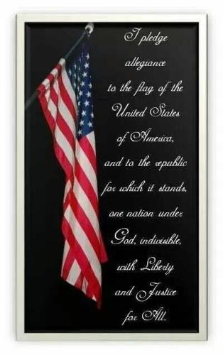 pledge 46