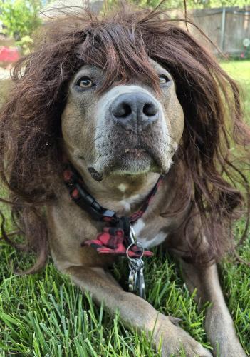 world redhead day may 26 2026