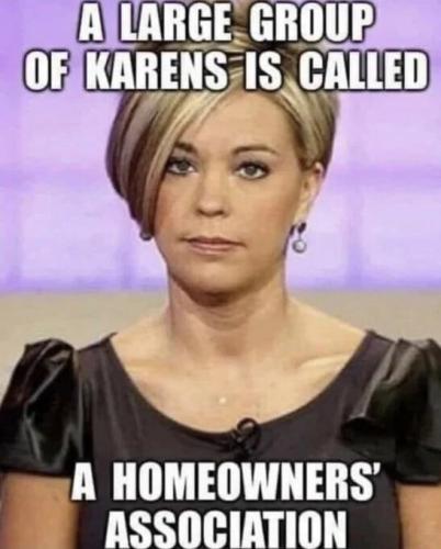 large-group-of-karens