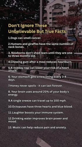 FB_IMG_1778717401569