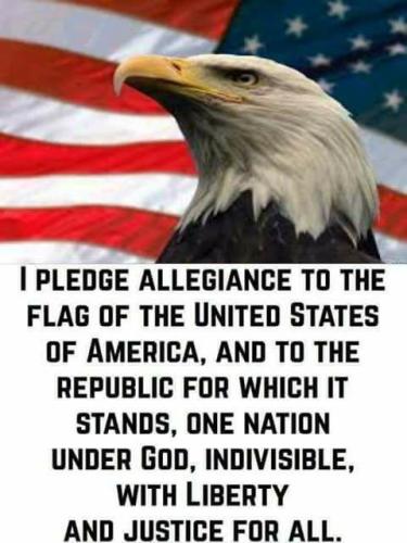 pledge 54