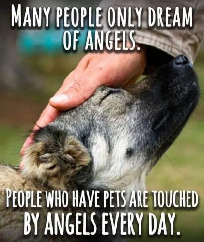 touched-by-angels