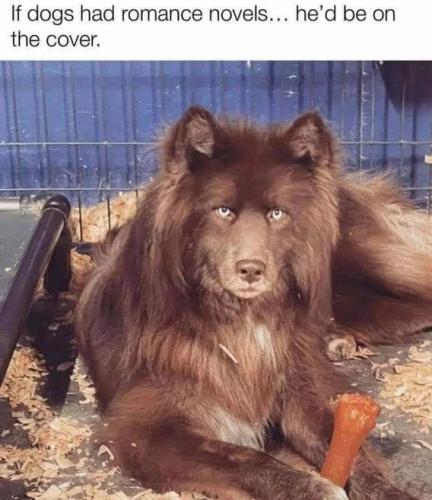 5191