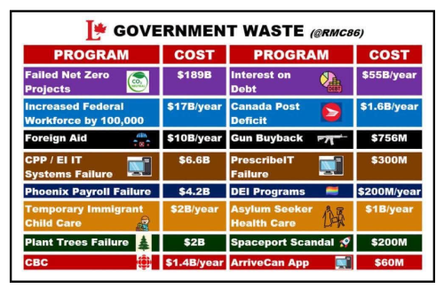 government waste