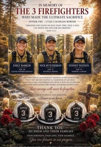 knowles_fire_firefighter_deaths_incompetent_chiefs