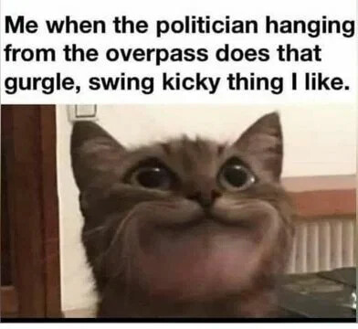 me-politician-hanging