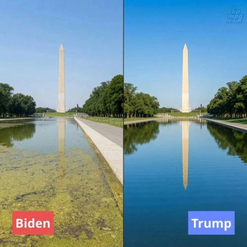 _1780718149822