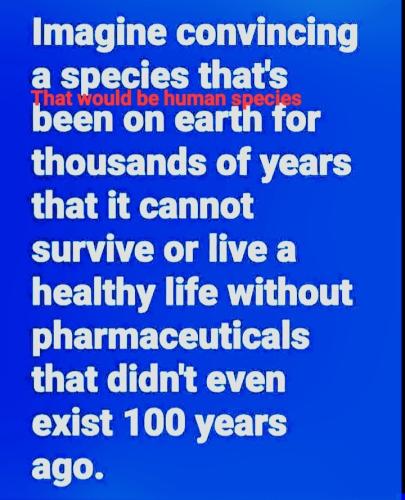 True