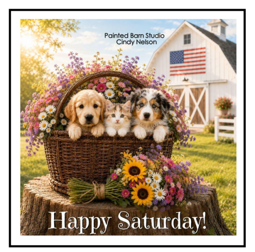 happy saturday