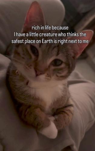 rich-life-because-have-little-creature-who-thinks-safest-place-on-earth-is-right-next