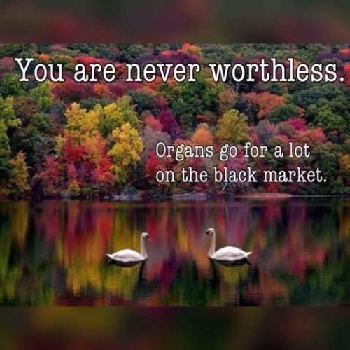 blackmarket