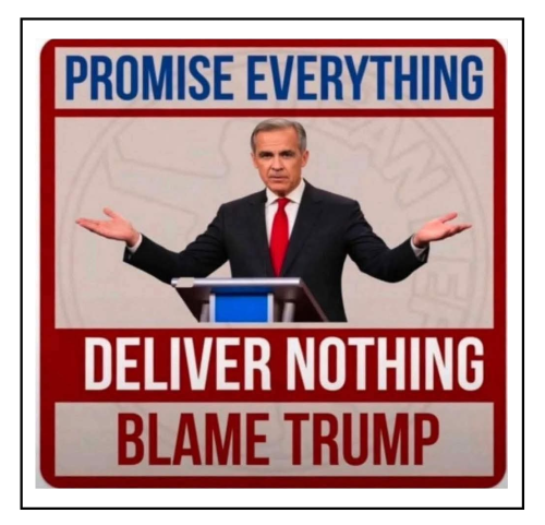 promis everything