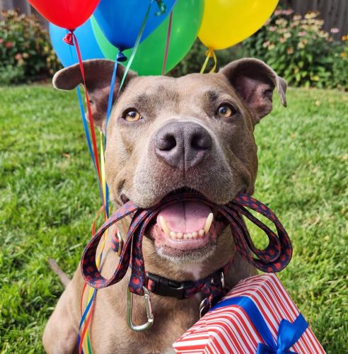 a aa june 10th my birthdaypic of dubs